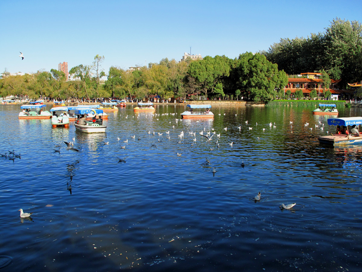 翠湖公園拓展基地