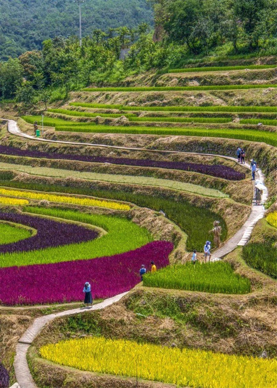 昆明旅游定制